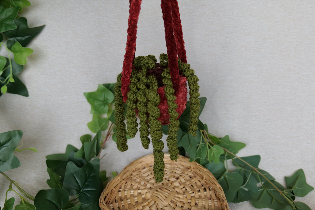 Plante tombante