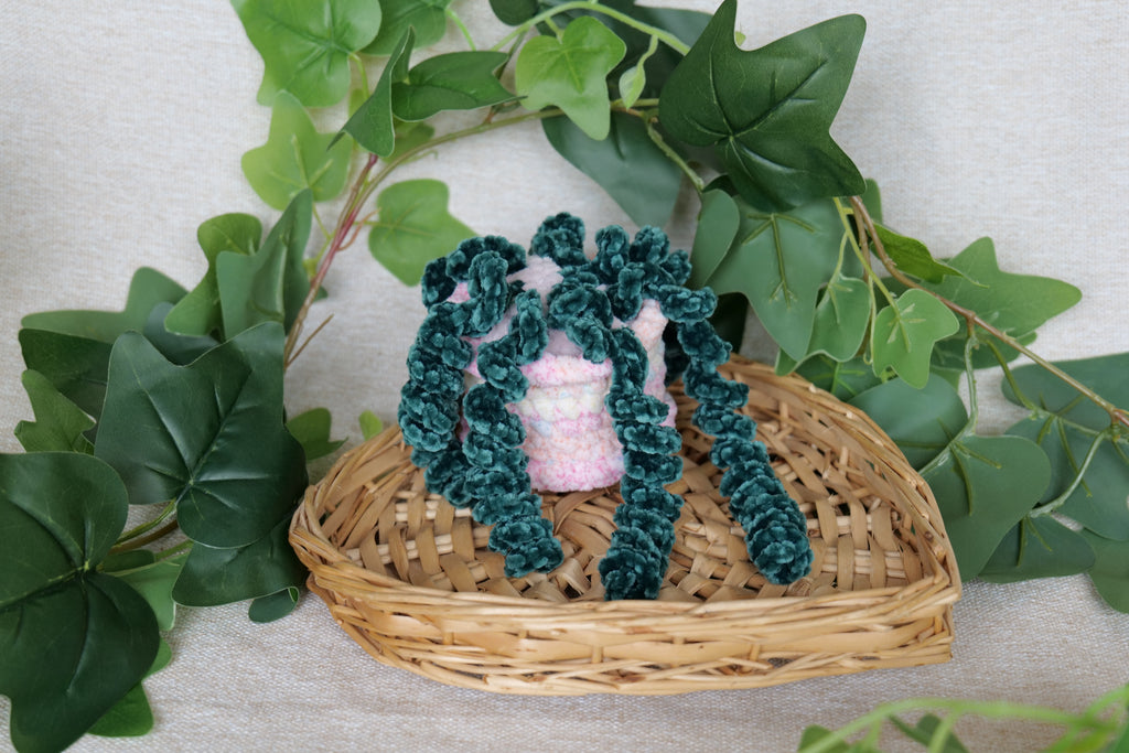 Petite Plante tombante