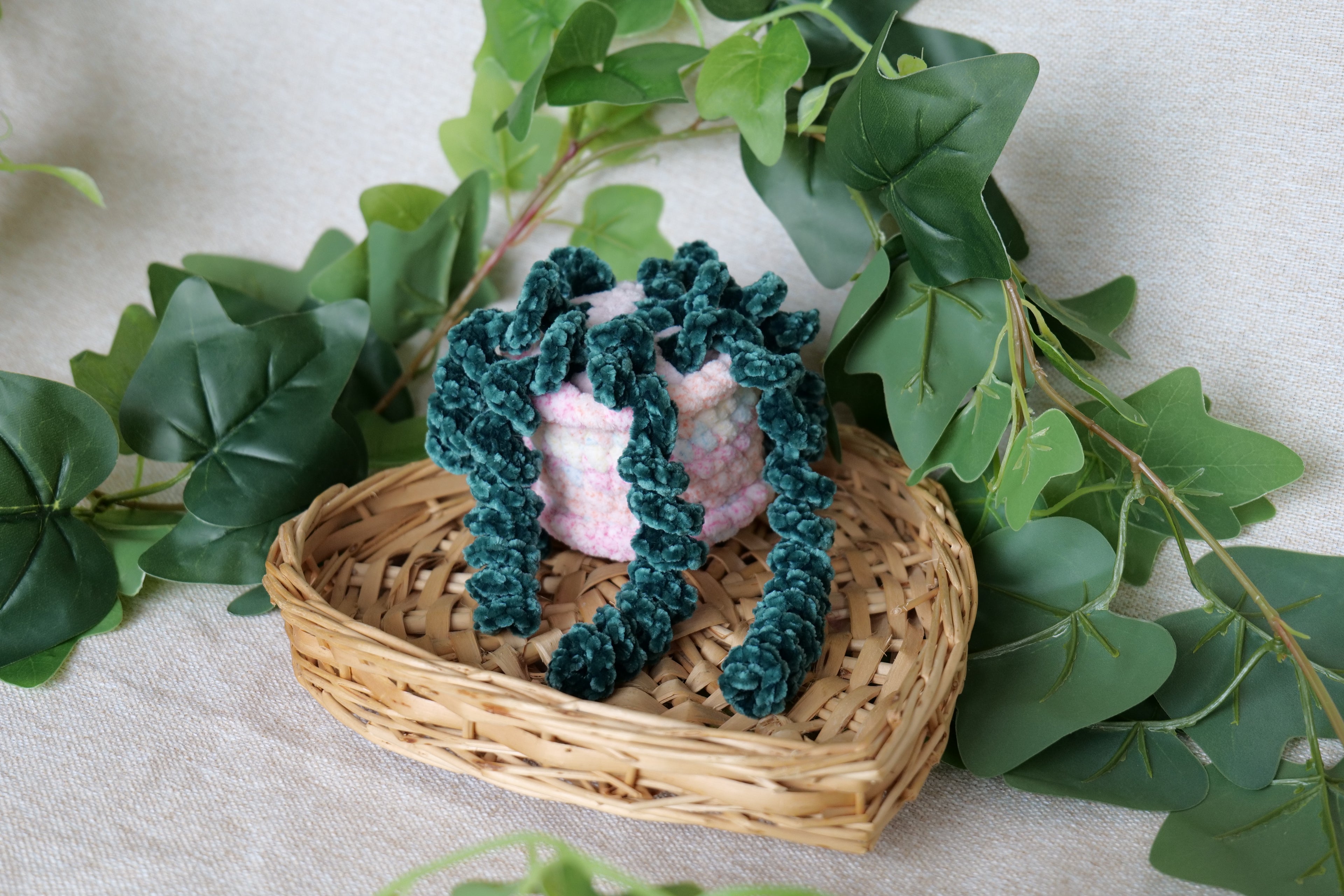 Petite Plante tombante