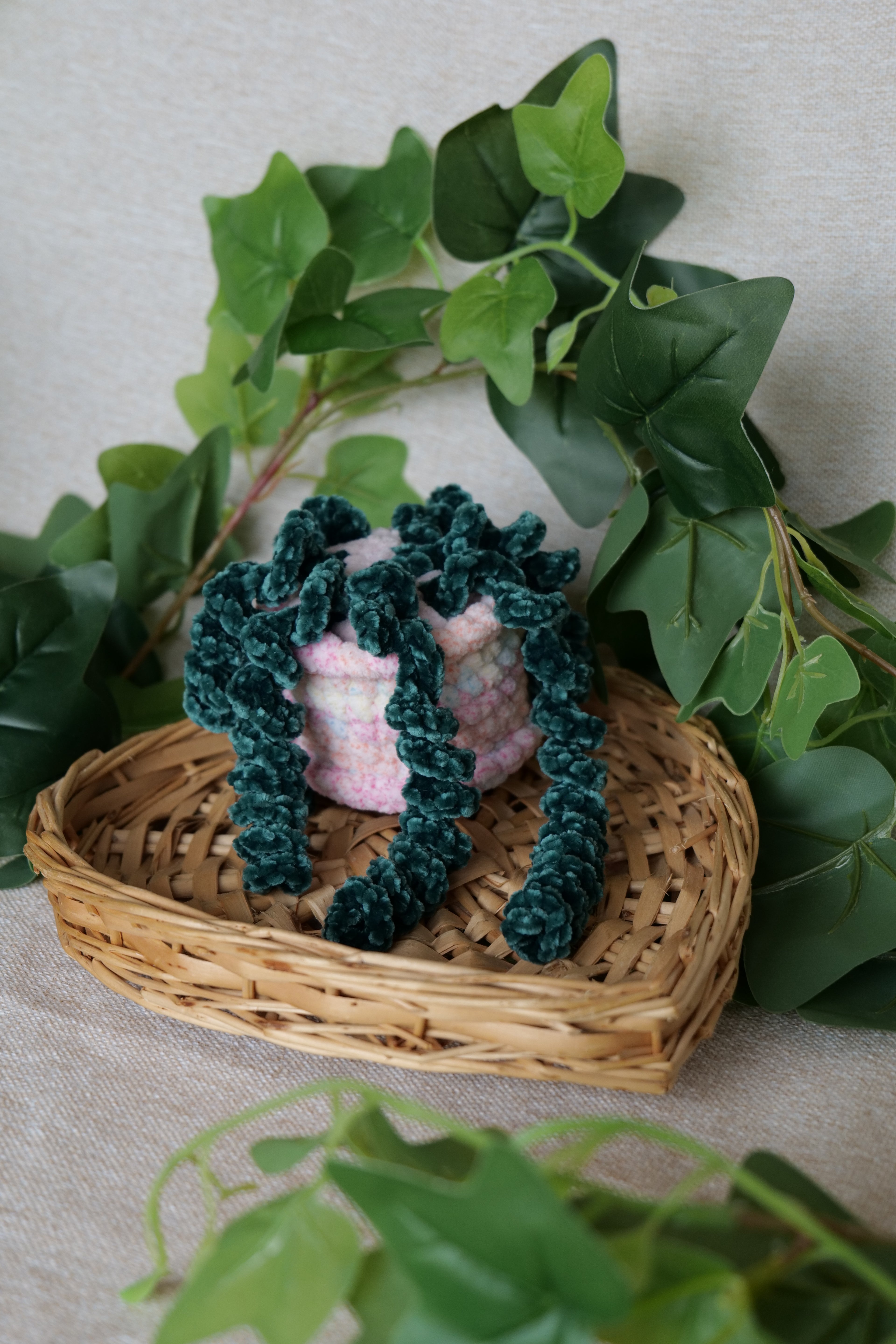 Petite Plante tombante